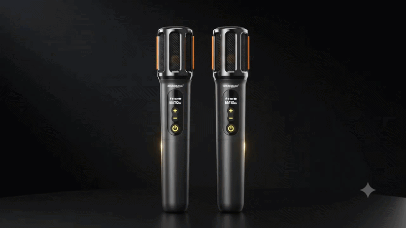 Duo microfono profesional